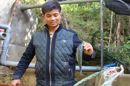 Trại cá hồi trên đỉnh Mẫu Sơn của chàng thanh niên Dao