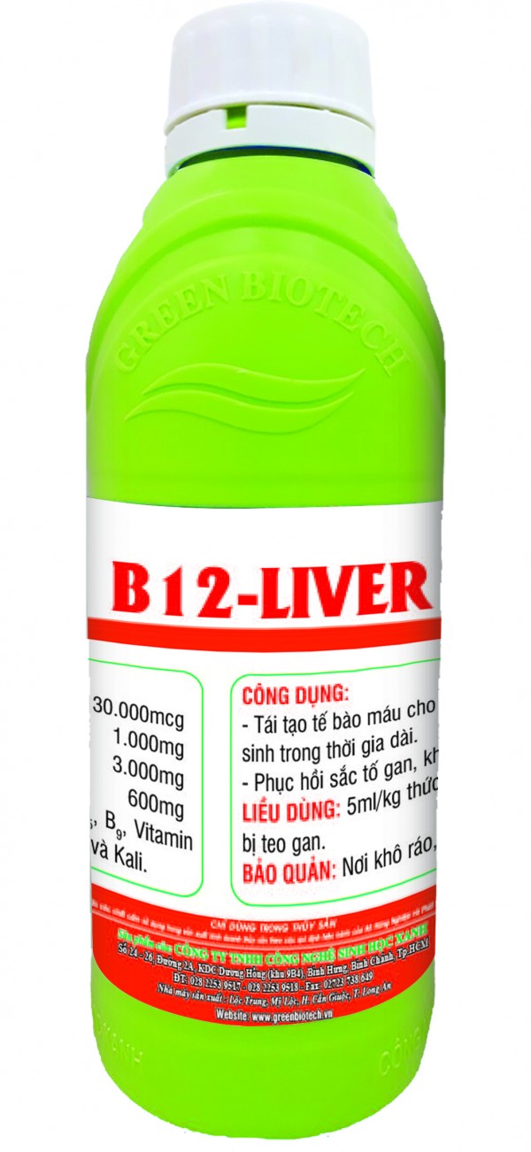 B12 - LIVER